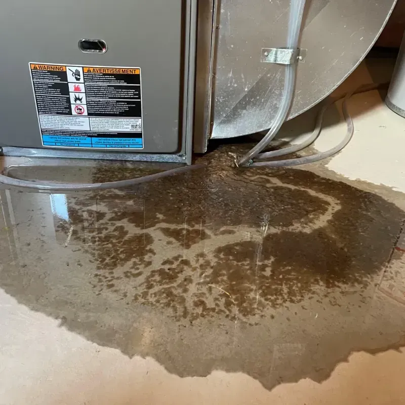 Appliance Leak Cleanup in Gleed, WA